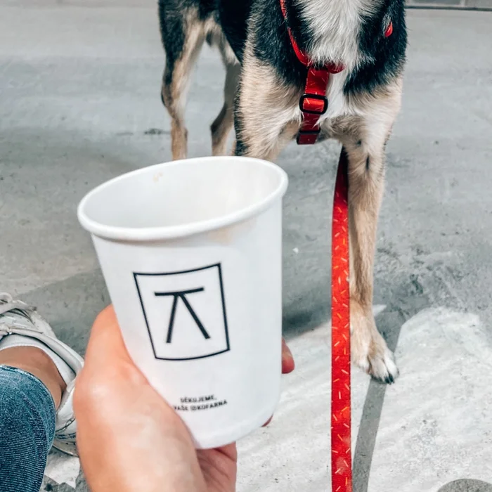 beansmiths coffee logo | takeawaycup.cz